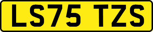 LS75TZS
