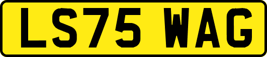 LS75WAG