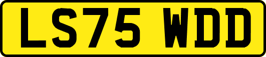 LS75WDD