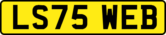 LS75WEB
