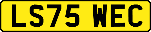 LS75WEC