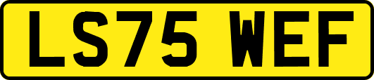 LS75WEF