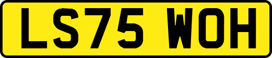LS75WOH
