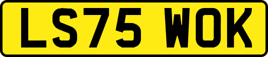 LS75WOK
