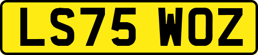 LS75WOZ