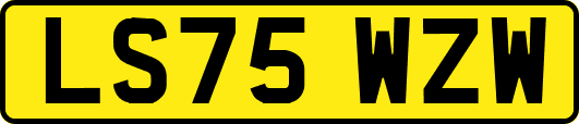 LS75WZW