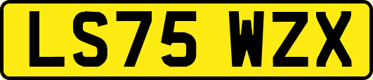 LS75WZX