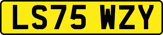 LS75WZY