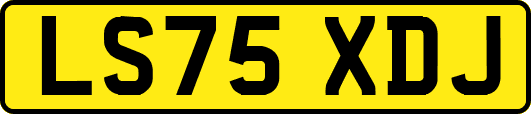 LS75XDJ