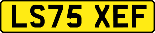 LS75XEF