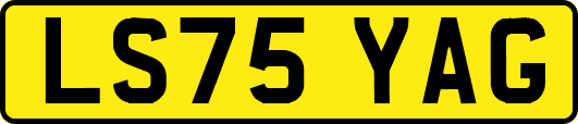 LS75YAG