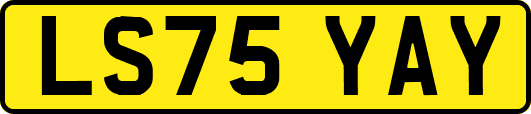LS75YAY