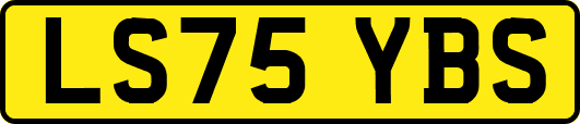 LS75YBS