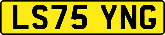 LS75YNG