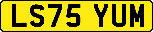 LS75YUM