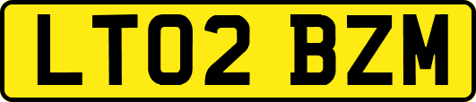 LT02BZM