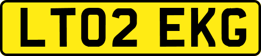 LT02EKG