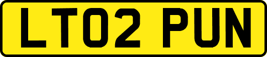 LT02PUN