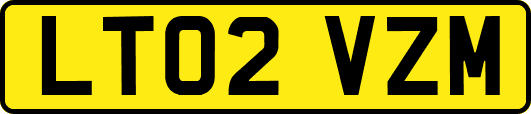 LT02VZM