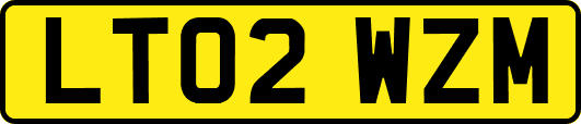LT02WZM