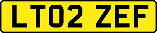 LT02ZEF