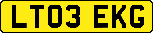 LT03EKG