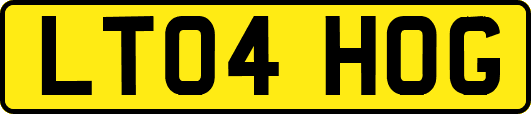 LT04HOG