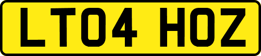 LT04HOZ