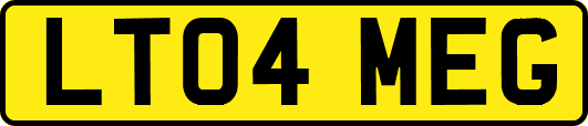 LT04MEG