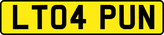 LT04PUN