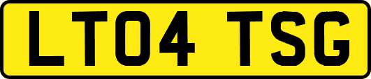 LT04TSG