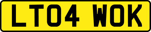 LT04WOK
