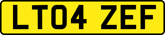 LT04ZEF