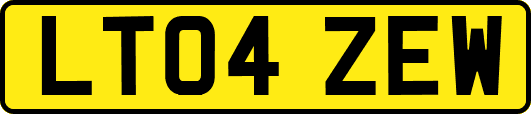 LT04ZEW