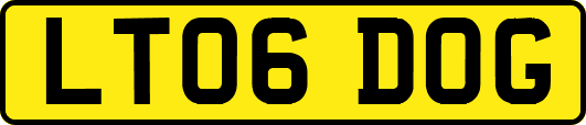 LT06DOG