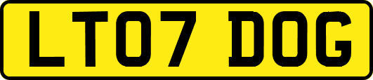 LT07DOG