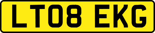 LT08EKG