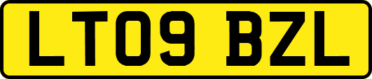 LT09BZL