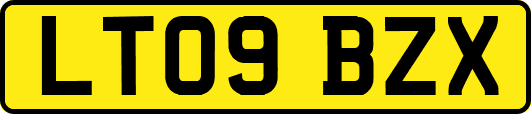 LT09BZX