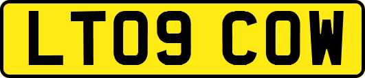 LT09COW