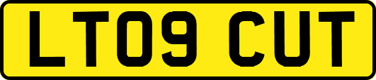 LT09CUT