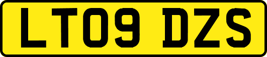 LT09DZS