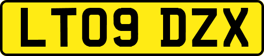 LT09DZX
