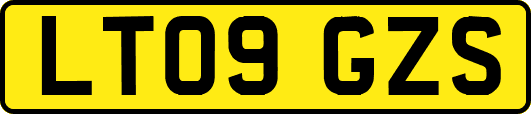 LT09GZS