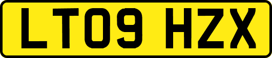 LT09HZX