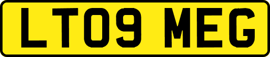 LT09MEG