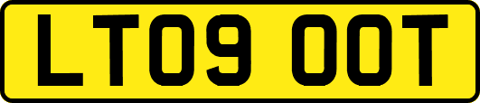 LT09OOT