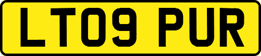 LT09PUR