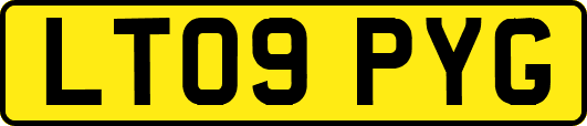 LT09PYG