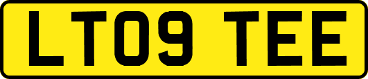 LT09TEE